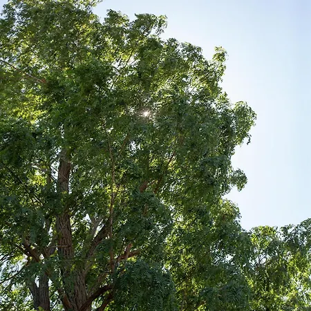 Casa vacanze Wieckin